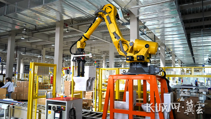 惠達衛浴入選河北2021輕工行業排頭兵和品牌影響力企業50強