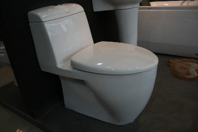 陶瓷衛生潔具八見解 多功能、富于表現力與生命力